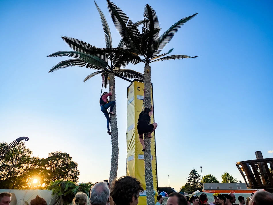 Mensen klimmen in hoge palmbomen tijdens een avontuurlijk buitenevenement bij zonsondergang