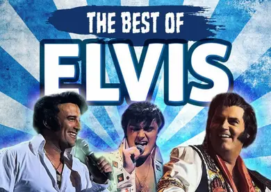 Elvis Tribute Theatershow in De Koningshof